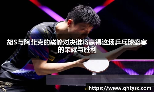 胡S与陶菲克的巅峰对决谁将赢得这场乒乓球盛宴的荣耀与胜利